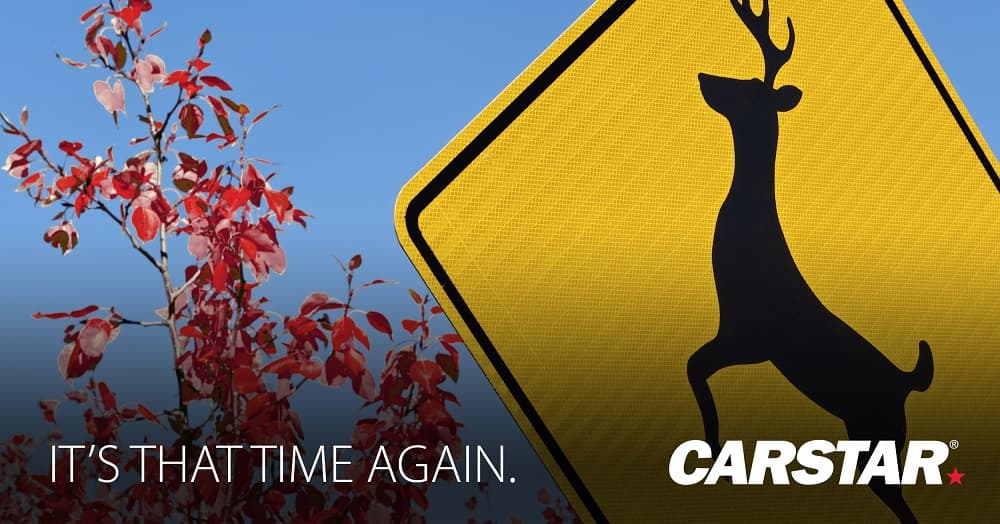 It's that time again. CARSTAR